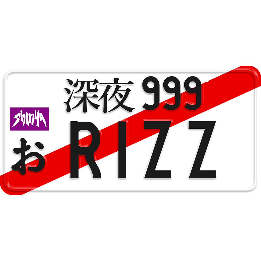 Rizz License Plate