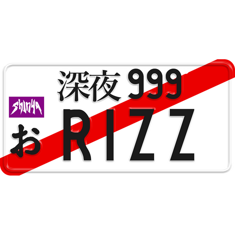 Rizz License Plate